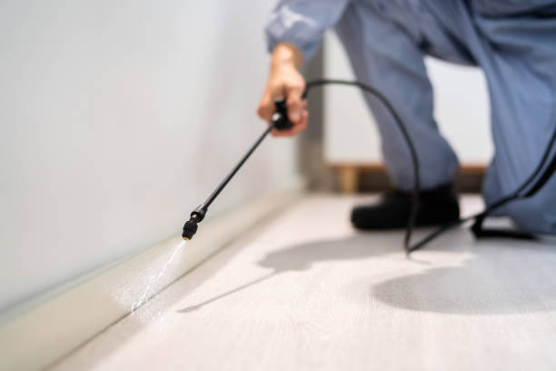 Licensed Fumigation Services service in Los Angeles, CA - Nex Pest Control