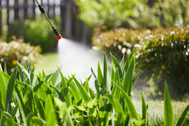 24/7 Emergency Fumigation Services experts in Los Angeles, CA