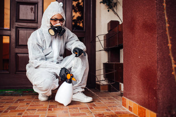 Reliable Fumigation Services contractor in Los Angeles, CA by Nex Pest Control