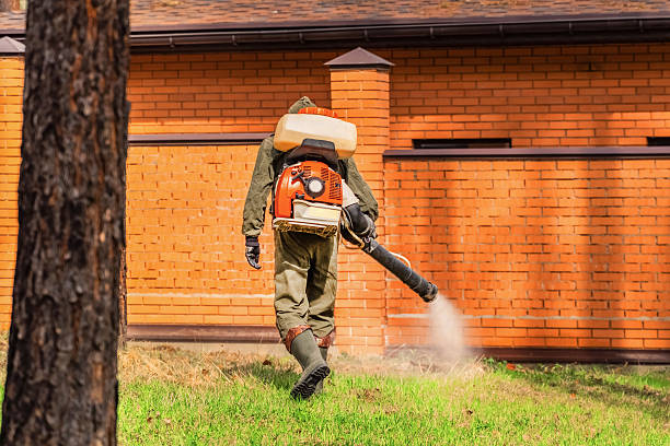 Trusted Cockroach Control service in Los Angeles, CA - Nex Pest Control
